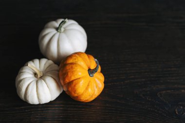 Koyu ahşap arka planda olgun balkabakları. Şükran Günü kartı ya da özgeçmişi için minimalist bir kavram. Metin için yer.