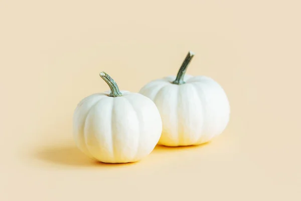 stock image Ripe pumpkins on a yellow pastel background. Minimalistic concept for Thanksgiving card or background. Place for text.