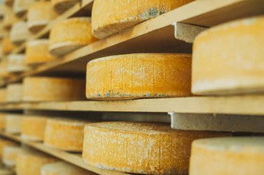 Peynir fabrikasındaki raflarda duran eski kafalar. Kapat..