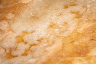 Yakın çekim yüzey deseni büyük taze scoby (bakteri ve maya simbiyotik kültürü) kombu çayı resmi 