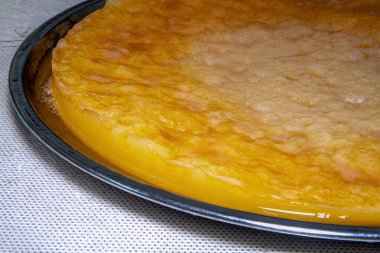 Yakın çekim büyük taze scoby (bakteri ve maya simbiyotik kültürü) kombu ça görüntüsü 