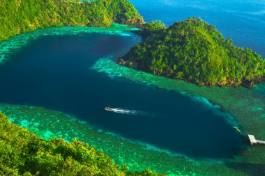Karawapop Adası, Misool Raja Ampat 'ta kalp şeklinde bir gölde dolaşıyoruz.