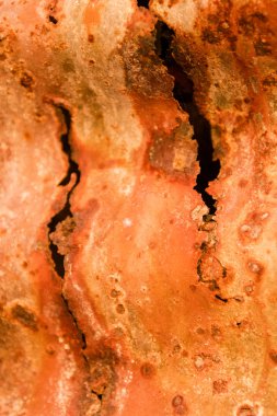 Yakın çekim paslı metal kıvrımlı çelik su tankını terk et. 