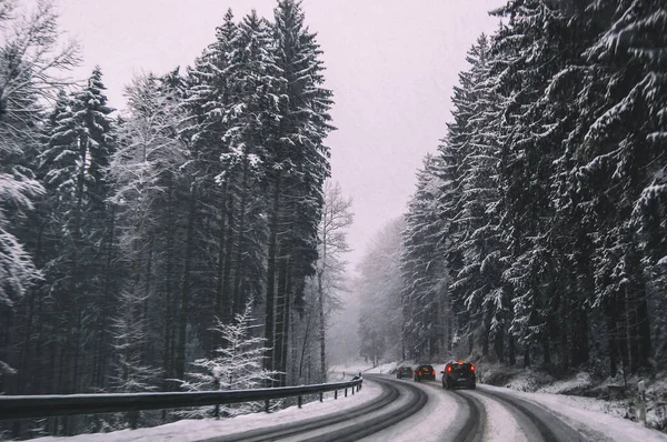 Kış boyunca yoğun karla kaplı ormanda eğimli bir yol boyunca giden arabalar. Lastik izleri olan buzlu asfalt, taze karla kaplı uzun ağaçlar ve bulutlu gökyüzü, soğuk hava koşulları ve mevsimsel seyahat konsepti
