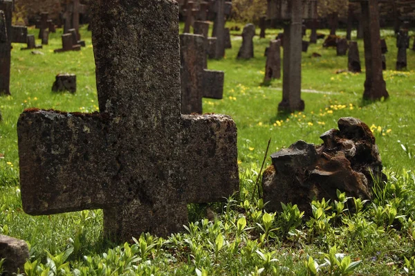 Yeşil çimlerle çevrili eski bir mezarlıkta yaşlanmış mezar taşları ve taş haçlar. Yıpranmış mezarlar, tarihi, ölümlülüğü ve zamanın geçişini sembolize eden sakin ve yansıtıcı bir atmosfer yaratırlar. Kültürel, tarihsel ve anıtsal kavramlar için uygun