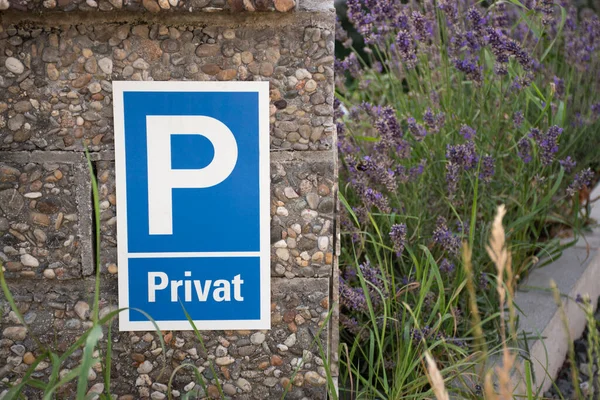 Lavanta çiçeklerinin yanındaki dokulu taş duvarda mavi özel park işareti var. Doğal elementlere sahip kentsel ayrıntı, ulaşım, mülkiyet, kısıtlama ve yaşam tarzı temaları için uygun