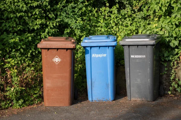 Atık ayıklama için üç farklı renkli geri dönüşüm kutusu dışarıda yeşil yapraklara karşı duruyor. Almanya 'da organik atık, kağıt ve atık olarak kullanılan kahverengi, mavi ve siyah kaplar. Geri dönüşüm, sürdürülebilirlik ve çevre koruma