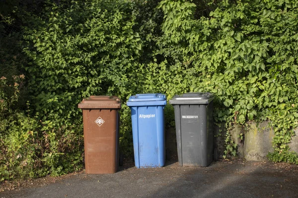 Atık ayıklama için üç farklı renkli geri dönüşüm kutusu dışarıda yeşil yapraklara karşı duruyor. Almanya 'da organik atık, kağıt ve atık olarak kullanılan kahverengi, mavi ve siyah kaplar. Geri dönüşüm, sürdürülebilirlik ve çevre koruma