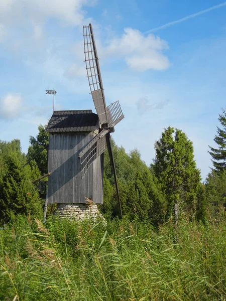 Estonya kırsalında yeşil çimenler ve ağaçlarla çevrili eski ahşap yel değirmeni. Yumuşak bulutlu mavi gökyüzü altında geleneksel kırsal mimari. Kalıtım, doğa, sürdürülebilir yaşam tarzı ve barışçıl kuzey Avrupa manzarası kavramı