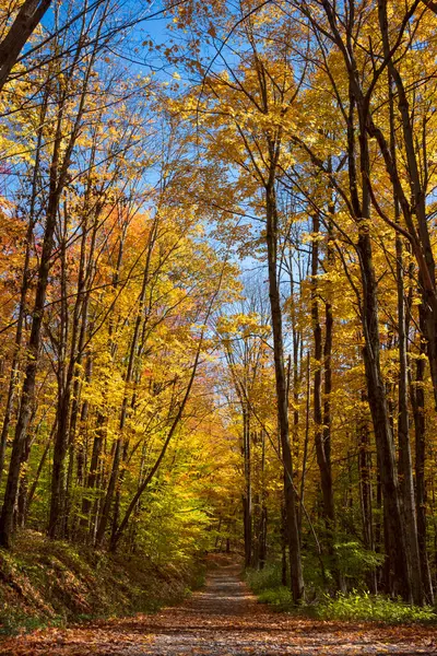 stock image Trees showing their autumn colors of yellow, red and orange leaves, line a one lane, dirt country road during a sunny Fall day.  