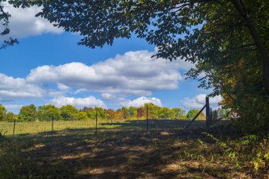 Tel örgülerle çevrili ve New York 'ta yer alan bir alan, parçalı bulutlu bir günde yakınlardaki ağaçların yapraklarıyla çevrilidir.. 