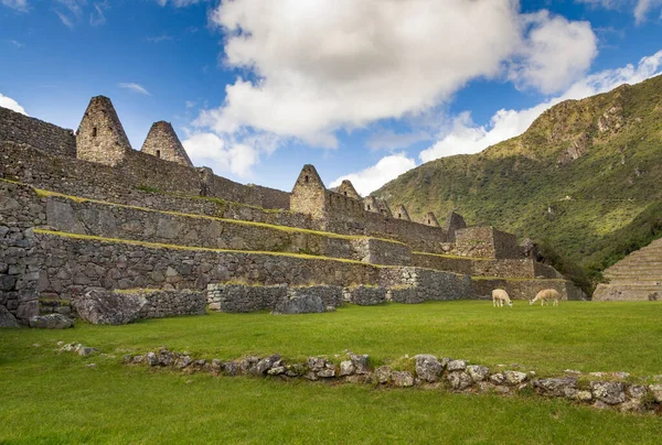 Los Turistas Exploran Machu Picchu Una Ciudadela Inca Del Siglo — Foto de Stock