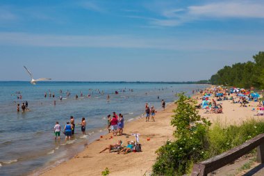Ellisburg, New York - 21 Haziran 2016: Plaja gidenler, Ontario Gölü 'ndeki Southwick Beach State Park' ta bulutsuz bir yaz gününde güneşin tadını çıkarıyorlar. 