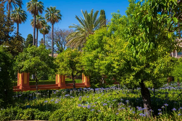 Séville Espagne Juin 2018 Les Jardins Alcazar Sont Une Attraction — Photo