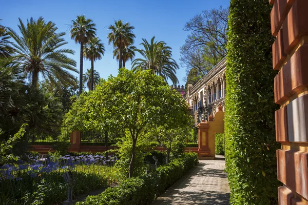 Séville Espagne Juin 2018 Les Jardins Alcazar Sont Une Attraction — Photo