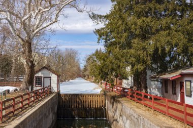 Kar kaplı bir kanal ve yapraksız bir huş ağacı güneş ışığında bir çekici yolu üzerinde parlıyor ve Delaware Kanalı 'nda soğuk bir kış günü.