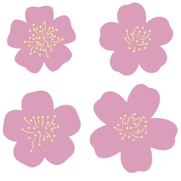 simple cherry blossoms vector illustration