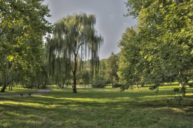 Yaz sonu Belgrad 'daki Topcider Park' ta