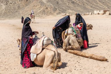 Hurghada, Mısır - 1 Ekim 2020: Başörtüsü giymiş Bedevi kadınlar develerin yanında durup Mısır 'da turistleri bekliyorlar