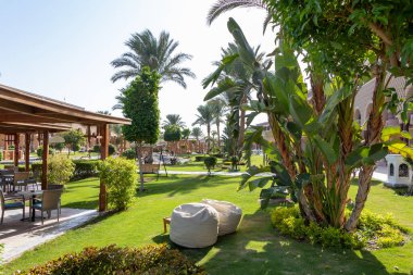 Hurghada, Mısır - 30 Eylül 2020: SUNRISE Mamlouk Palace Resort otelinde palmiye ağaçları olan Mısır bahçesi