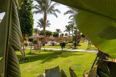 Hurghada, Mısır - 30 Eylül 2020: SUNRISE Mamlouk Palace Resort otelinde palmiye ağaçları olan Mısır bahçesi