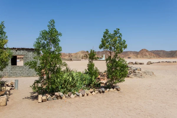 A small desert garden with cactus in Egypt.