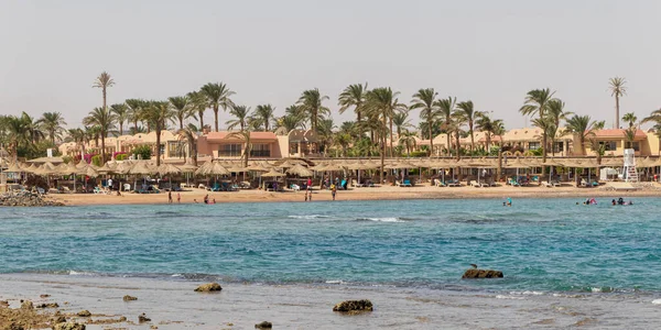 Hurghada Egypt September 2020 Beach Palms Tree Hurghada Tourists Sunbeds — Stok fotoğraf