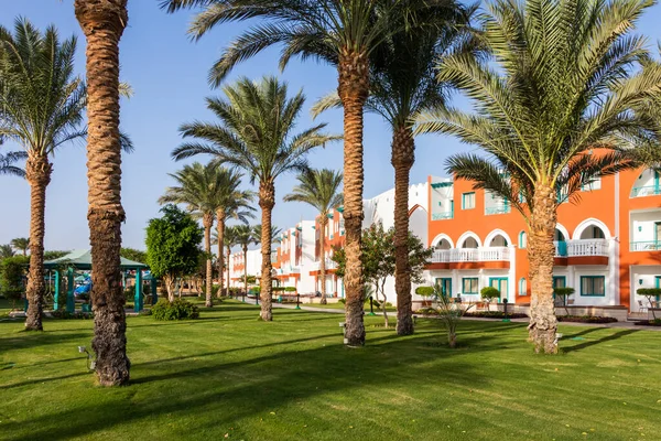 Hurghada, Mısır - 2 Ekim 2020: SUNRISE Garden Palace Resort otelinde palmiye ağaçları olan Mısır bahçesi