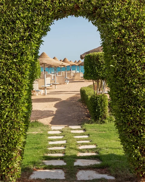 Eingang Durch Ein Grünes Tor Mit Einem Steinweg Zum Sandstrand — Stockfoto