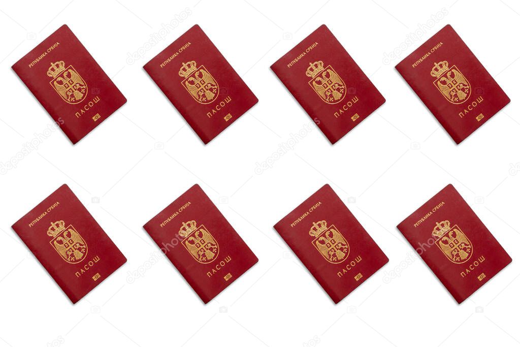 Serbian passports on white background