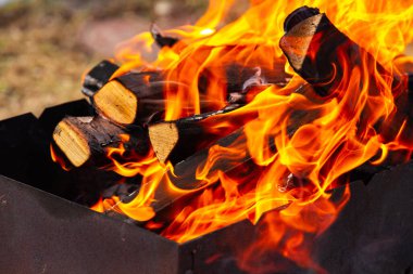 Açık havada ızgarada huş ağacının kırmızı dilleriyle yanan şenlik ateşi.
