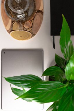 Ahşap tezgahta bitkisel çaydanlık, gri tablet, yeşil bitki ve defter beyaz ahşap masa üzerinde.