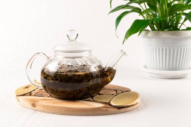 Ahşap ardıç tezgahında bitki çaydanlığı ve beyaz ahşap bir masada yeşil bitki.