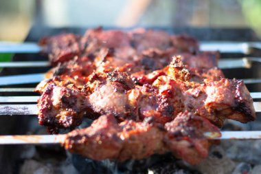 Güneşli bir yaz gününde kömür ızgarasında taze kokulu şiş kebap pişirmek. Seçici odak