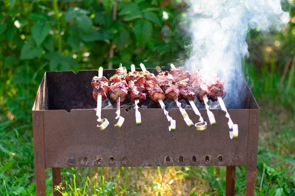 Čerstvé Voňavé Shish Kebab Vaří Dřevěném Uhlí Grilu Kouři Pozadí — Stock fotografie