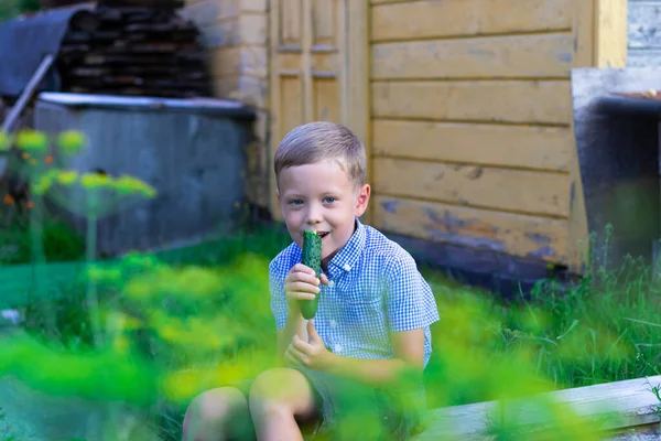 Altı Yaşında Mutlu Bir Çocuk Yeşil Çimenli Arka Planda Köyde — Stok fotoğraf