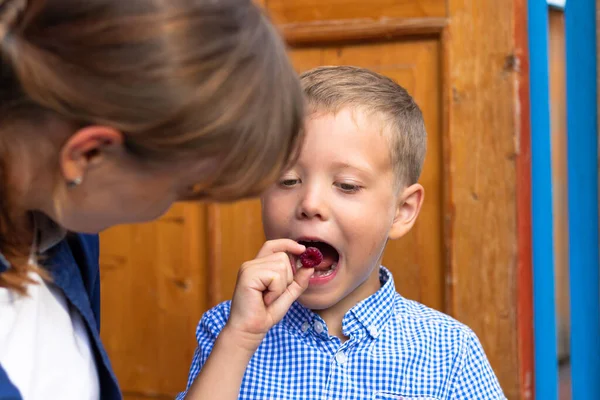 Six Year Old Boy His Mother Eating Fresh Fragrant Raspberries — Stock Photo, Image