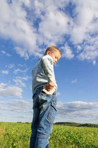 一个穿着牛仔裤和毛衣 心满意足的学龄前儿童 在蓝天和云彩的衬托下 把纸币藏在田野里 肖像画 免版税图库图片