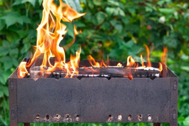 Parlak bir yaz gününde, yeşil yaprakların arka planında yanan yakacak odunları olan metal mavisi. Kırmızı alevli şenlik ateşi. Seçici odak