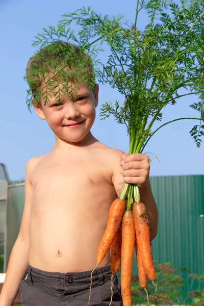 Six Year Old Cute Satisfied Boy Black Shorts Holds His — Stock Photo, Image