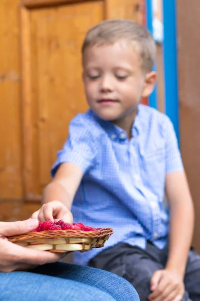 Six Year Old Contented Boy Eats Fresh Fragrant Raspberries Village — Stock Photo, Image