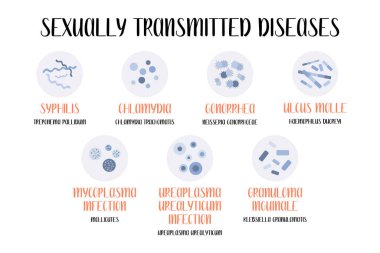 Cinsel yolla bulaşan hastalıklar. Bakteriyel enfeksiyon. Frengi, belsoğukluğu, Chancroid, Ulcus molle, Granuloma inguinale, Ureaplasma ve Mycoplasma enfeksiyonları. Jinekoloji, üroloji. Vektör düz çizgi film sanatı