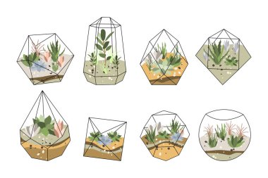 Floraryum, cam vazo. Geometrik cam kapta sulu bitkiler ve kaktüsler. Şişede bahçe, diy geometrik teraryum, mini ekosistem. Vektör düz çizgi film illüstrasyonu