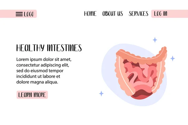 人間の消化器系 腸は小さく大きな腸です 消化管だ ベクトルフラットイラスト バナー ランディングページ ウェブサイトに最適です — ストックベクタ