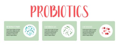 Probiyotik bilgileri. Laktik asit bakterisi. Bağırsak ve bağırsak florası için iyi bir bakteri. Mikrobiyom. Bifidobakteryum, laktobacillus, laktokok, termophilus streptococcus. Vektör seti