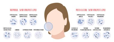 Normal, pathogenic skin microflora. Bacteria. Microbiome. Staphylococcus, Streptococcus, Propionibacterium, Corynebacterium, Candida, Pseudomonas aeruginosa, Yersinia, Klebsiella. Vector flat cartoon clipart