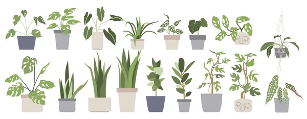 Set Met Huisplanten Bloempotten Stadsjungle Tuinieren Handgetekende Vector Illustratie Platte — Stockvector