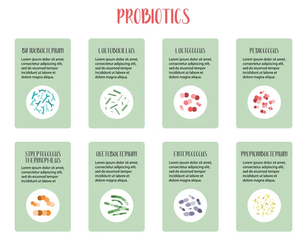 Infografía Probióticos Bacterias Del Ácido Láctico Buenas Bacterias Para Salud — Vector de stock