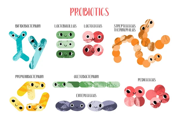 Tatlı laktik asit bakteri karakteri. Probiyotik. Bağırsak ve bağırsak sağlığı için iyi bir kawaii mikroorganizması. Bifidobakteryum, laktobacillus, laktokok, termophilus streptococcus. Vektör çizgi film seti