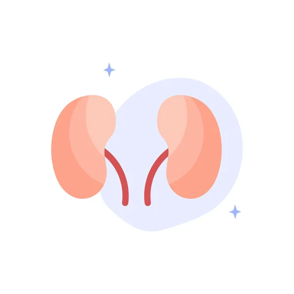 健康な腎臓 泌尿器科 ベクトルフラットイラスト チラシ 医療パンフレット バナー ランディングページ ウェブサイトに最適です — ストックベクタ